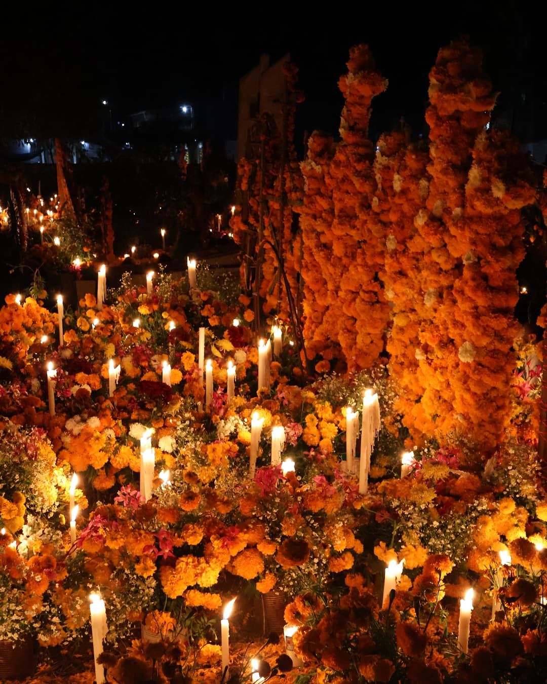 Día de Muertos in Mexico City: 5 Events You Won’t Want to Miss